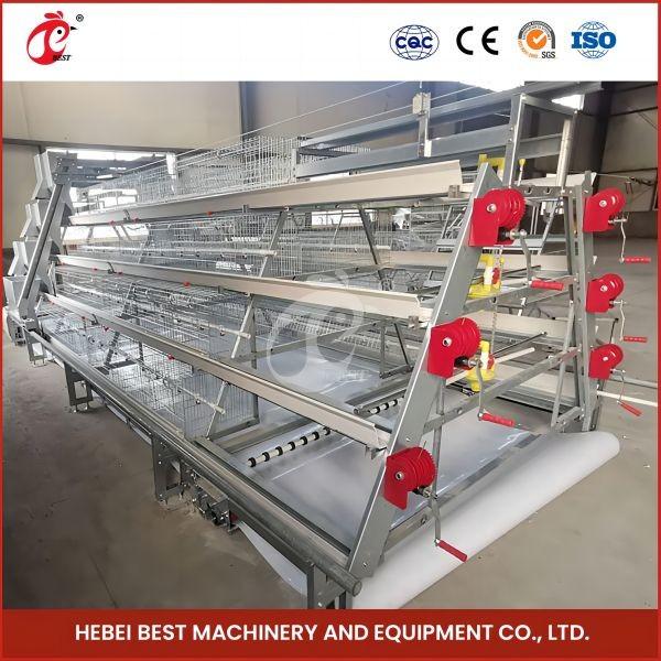 Buy cheap Automatic breeding Automatic Broiler Chicken Cage Rose from wholesalers