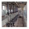Buy cheap Big 110v 20 Stalls Herringbone Milk Parlor For Cow Milking from wholesalers