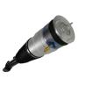 Buy cheap 3600640300A Automobile Shock Absorber Air Ride Suspension Spring Strut Tesla Model from wholesalers