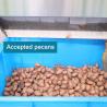 Buy cheap 7kW 8 Collection Bins 380V Pecan Sorter 1 Ton Yield With CE Certificate from wholesalers