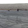 Buy cheap Black/Green/White/Blue 0.1mm-3mm HDPE Geomembrane Sheet Liner Perfect for Shrimp Pond from wholesalers