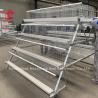 Buy cheap Hot Galvanized Q235 Steel Chicken Battery Cage For Nigeria Ghana Cameroon Chicken Farm Doris from wholesalers