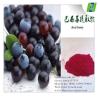 Buy cheap professional technology support brazilian acai berry extract from wholesalers