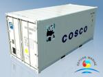 Carbon Steel Standard Shipping Container 20ft / 40ft For Reefer ISO9001