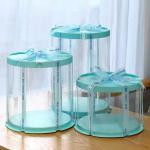 10 Inch Eco Friendly Plastic Packaging Round Transparent Food Grade PET Cake