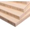 Buy cheap 4 X 8 Solid Bamboo Plywood Sheet For Furniture from wholesalers