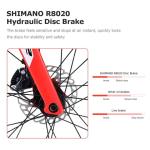 700C SAVA Full Carbon Road Bike SHIMANO ULTEGRA R8000 Fizik Saddle
