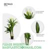 Buy cheap Dracaena Silk Plant Artificial 5ft Faux House Plants Evergreen Dracaena Marginata Fake Yucca Palm Trees in Pot from wholesalers