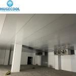 Freon Refrigerant Cold Room for Meat and Seafood Stainless Steel Surface