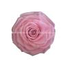Buy cheap 100% Real A Grade Preserved Long Lasting Rose Flower For Wedding Decoration from wholesalers