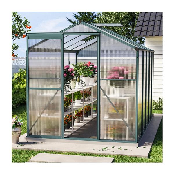 10x6 ft Transparent Garden Greenhouse Polycarbonate with 2 Vents Shed Type