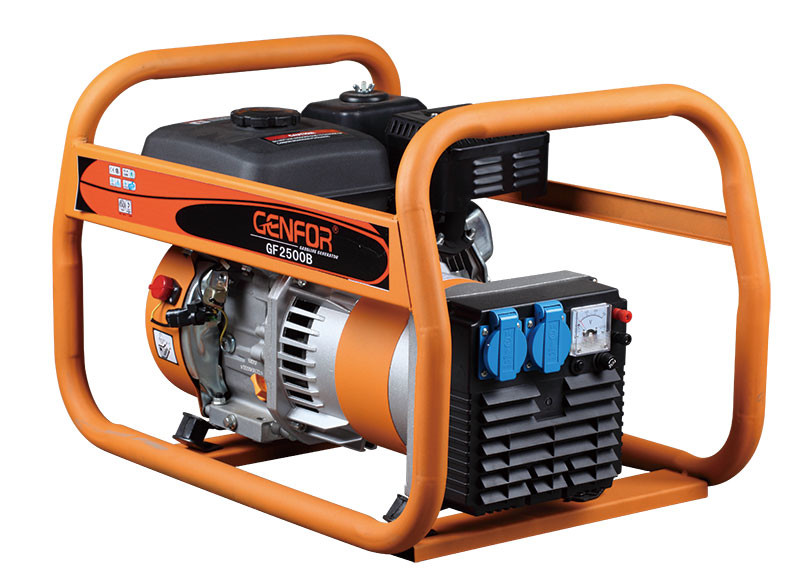 2.5KW Double Bearing 2-Poles High Output Alternator Selft-Exciting