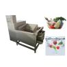 Buy cheap 200KG/H Small Type Vegetable Fruit Washing Machine 304 Stainless Steel from wholesalers
