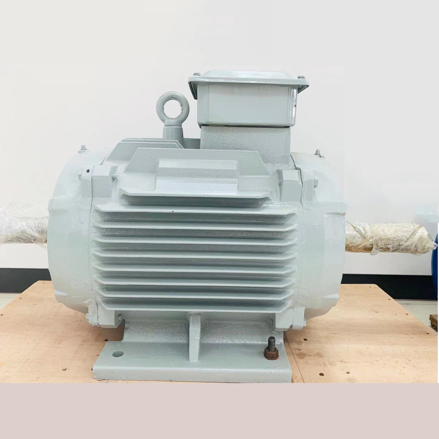 Three Phase Low Maintenance Permanent Magnet Motors
