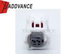 China Manufacturer 6189-7073 Automotive Waterproof Cable Wire Female 2 Pin