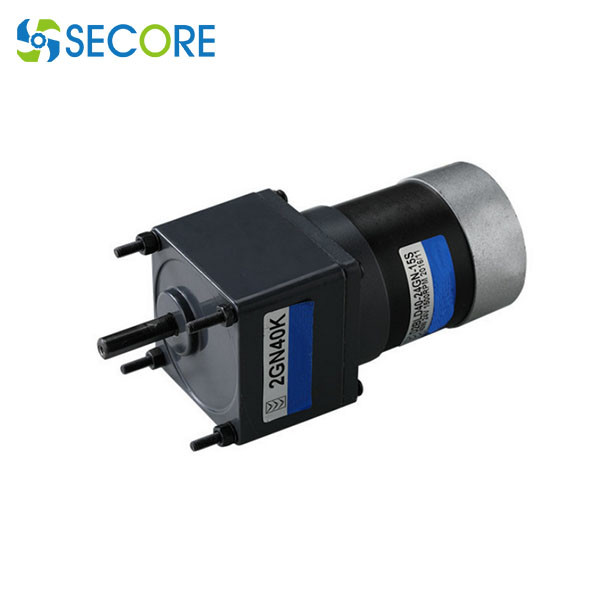 0.134HP 100W 0.31NM Brushless BLDC Motor 12V 24V With Controller