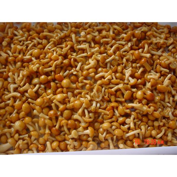 Buy cheap IQF New Crop Frozen Fruits And Vegetables Forest Nameko Mushroom Whole Part ABC from wholesalers