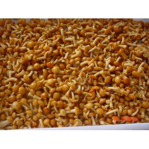 Buy cheap IQF New Crop Frozen Fruits And Vegetables Forest Nameko Mushroom Whole Part ABC from wholesalers