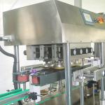 PLC Controlled Capping Machine for Manipulator Lower Covers in Daily Chemical