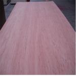Marine Board Phenolic 15mm 6mm Compressed Plywood