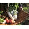 Buy cheap Organic OMRI Certified Amino Acid Fertilizer 16-0-0, PH 4.0-6.0, 80% Amino Acid Content from wholesalers