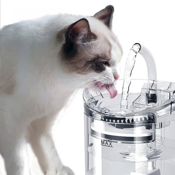 Buy cheap Pet Water Dispenser Automatic Dog Drinking Plastic Fountain Cat Water Fountain Faucet from wholesalers