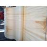 Buy cheap bleached poplar veneer, full poplar wood sheet from wholesalers