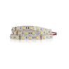 Buy cheap 12Volt SMD 5050s Flexible Led Strip Lights 14.4w 2200k-2500k For X'mas festival from wholesalers
