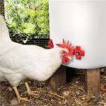 Cnc Auto Horizontal Poultry Nipples Impermeable Horizontal Side Mount Chicken