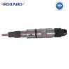 Buy cheap 0 445 120 333 Fuel Nozzle Injector 0445 120 333 Common Rail Injection 0445120333 for Bosh Fuel Injector Injector Fuel System Parts from wholesalers
