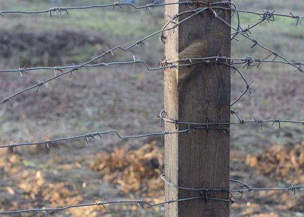 Buy cheap Farm Protection 50kg Double Strand Traditional Twist Barbed Wire Roll from wholesalers
