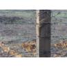 Buy cheap Farm Protection 50kg Double Strand Traditional Twist Barbed Wire Roll from wholesalers