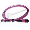 Buy cheap Multi Mode 12F OM4 Magenta MPO Patch Cable Female To Female from wholesalers