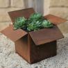 Buy cheap Modern Corten Steel Pot Indoor / Outdoor Usage Large Plant Pots from wholesalers