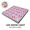 Buy cheap Convenient Switch Indoor Garden LED Grow Lights Long Lasting Working from wholesalers