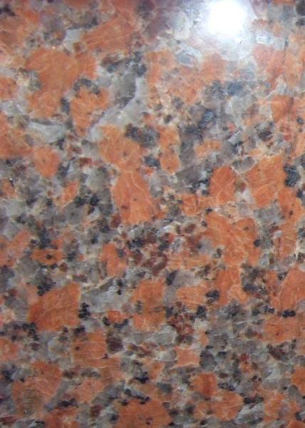 Buy cheap G562 Maple Red Polished Kitchen Floor Tiles , Large Polished Floor Tiles from wholesalers