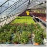 Buy cheap Automatic Air Circulation Solar Passive Greenhouses Customized from wholesalers