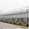 Buy cheap Agriculture Hydroponic System Polycarbonate Sheet Greenhouse Multi Span 30 X 100 from wholesalers