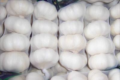 Pure White Normal White Garlic Dehydrated 4.5cm 5.0cm Size