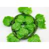 Buy cheap Garden Home Wall Hanging Plastic Simulation Tree Vine from wholesalers