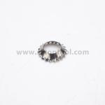 Polished Stainless Steel Lock Washer Din6798V External Tooth Lock Washer