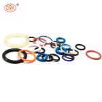 OEM Silicone O Ring Kit FKM NBR EPDM Hydraulic Cylinder Oil Seal For Pneumatic
