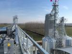 Energy-Saving Paddy Dryer Machine with Drying Temperature 50-80C and Heat
