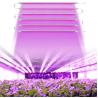 Buy cheap UVA Strawberry UV Grow Light Tube 24W Waterproof Indoor Vegetable Tomato Grow Light Cucumber from wholesalers