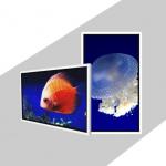 55" Wall Mounted Touch Screen Kiosk High Definition 1920*1080 Resolution