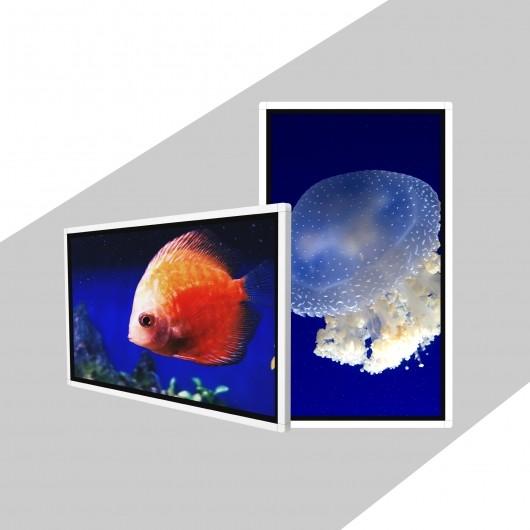 Buy cheap TFT 49 Inch Wall Mount Digital Signage Wall Mounted Digital Advertising Screen from wholesalers