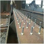 Welding Shear Stud With Ceramic Ferrule Stainless Steel M10 60mm Nelson Stud