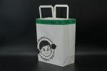 Cartoon Pattern Eco Paper Bags Lightweight Biodegradable Paper Bags