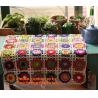 Buy cheap America Countryside Nordic Hand-woven crochet hook Daisy cover blanket,knitted flower blan from wholesalers