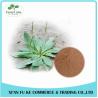 Buy cheap Lowest Price Best Quality Plantain Extract for Skin and Cancer from wholesalers